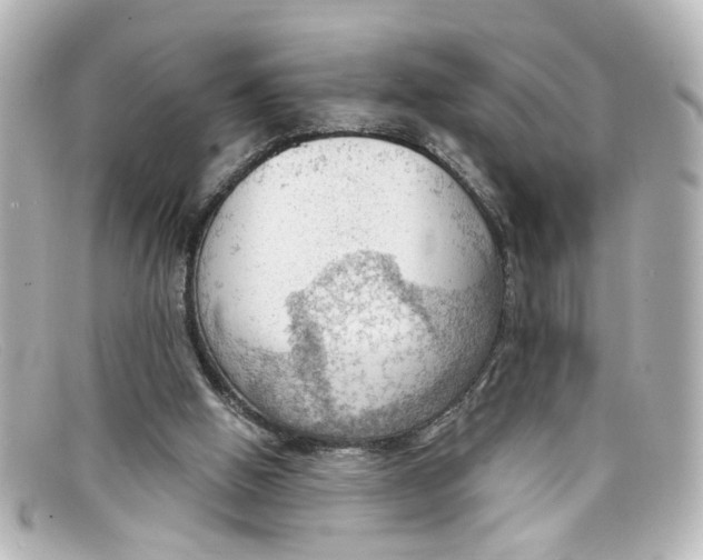 X0000098140058200805081029