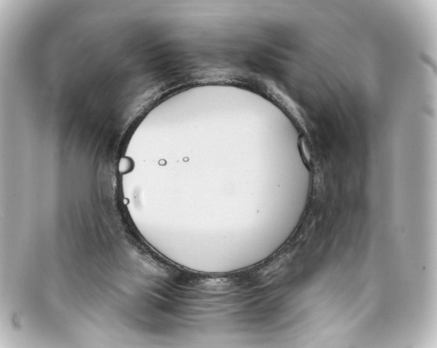 X0000098140059200805081029