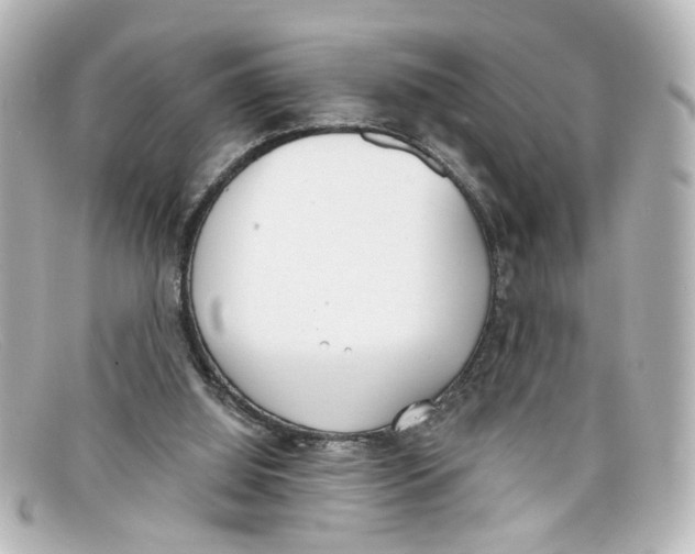 X0000098140060200805081029