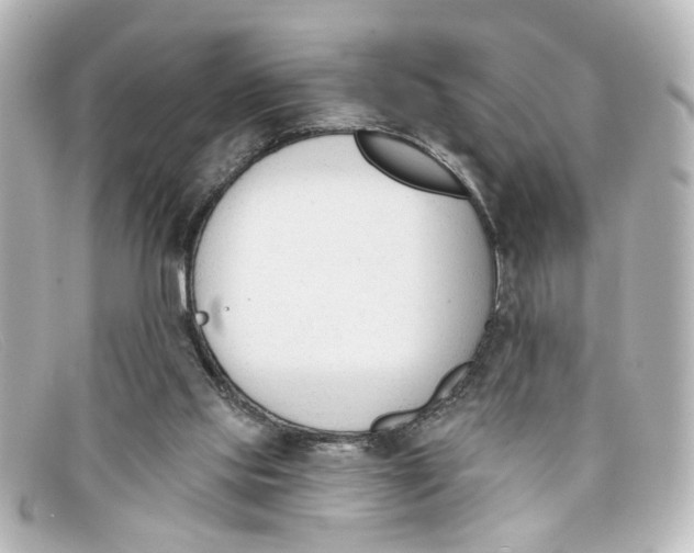 X0000098140061200805081029