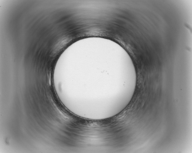 X0000098140062200805081029