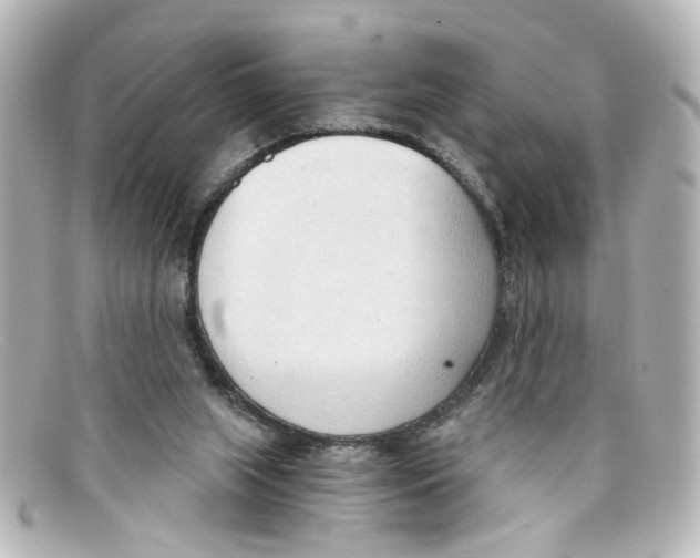 X0000098140063200805081029