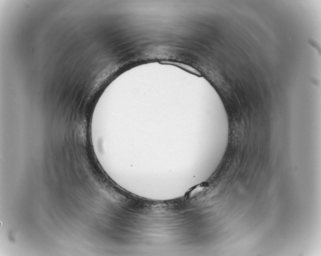 X0000098140064200805081029