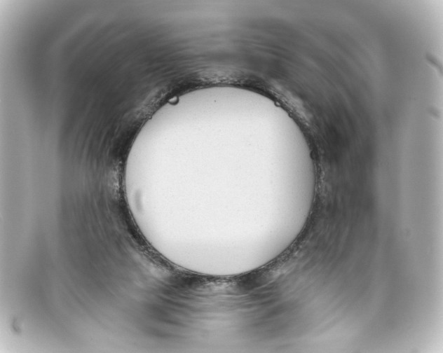 X0000098140065200805081029