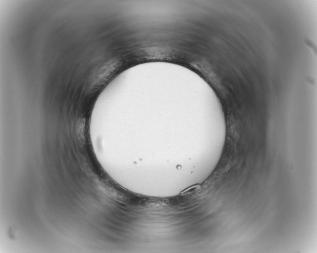 X0000098140066200805081029