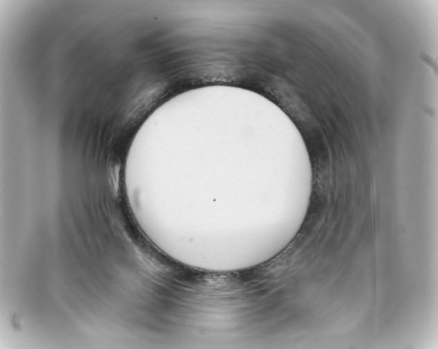 X0000098140070200805081029