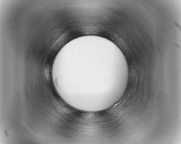 X0000098140074200805081029