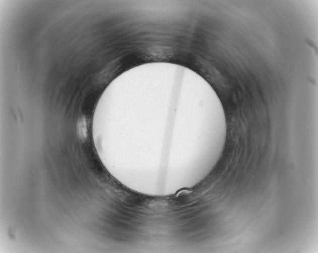 X0000098140075200805081029