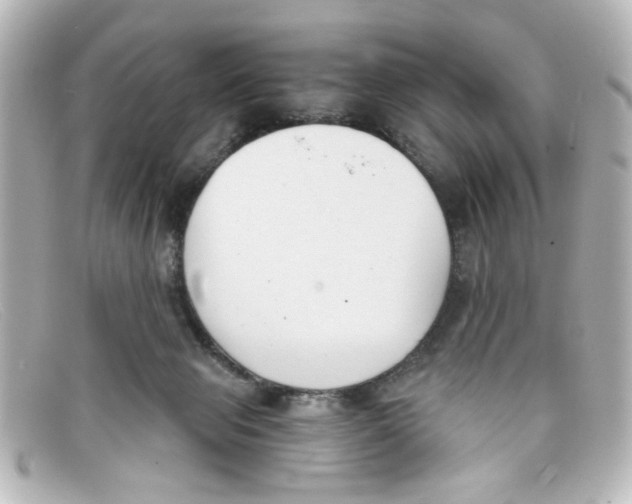 X0000098140077200805081029