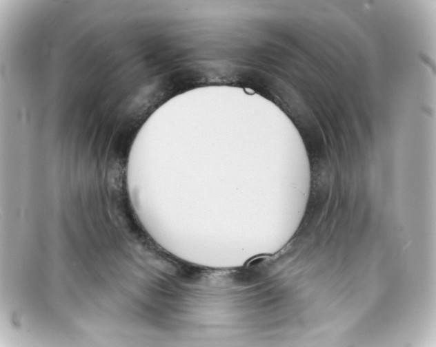 X0000098140078200805081029