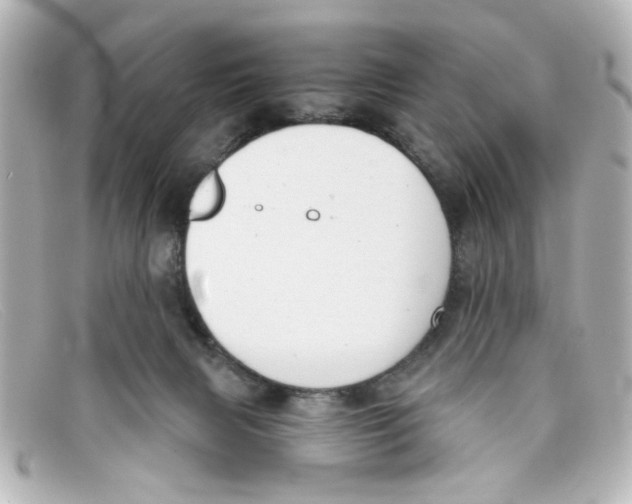 X0000098140079200805081029