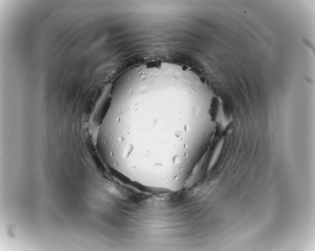 X0000098140080200805081029