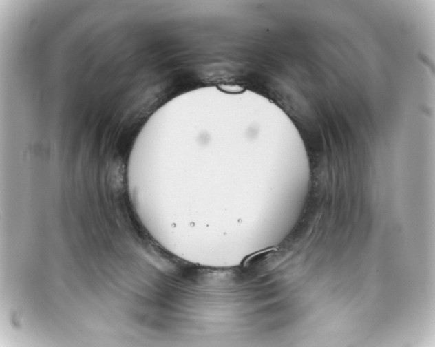 X0000098140081200805081029