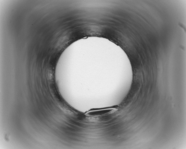 X0000098140084200805081029