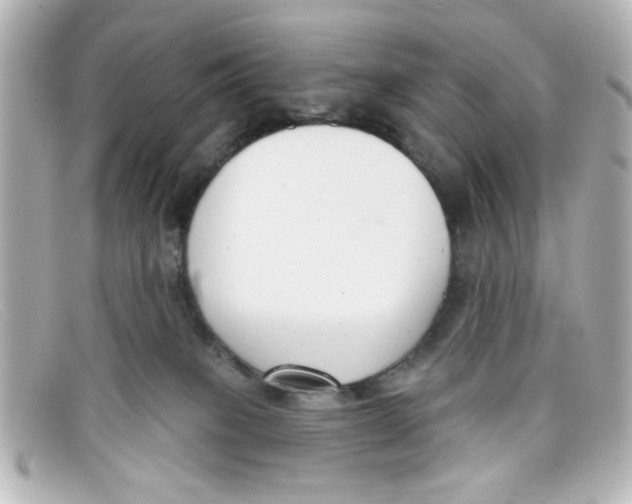 X0000098140085200805081029