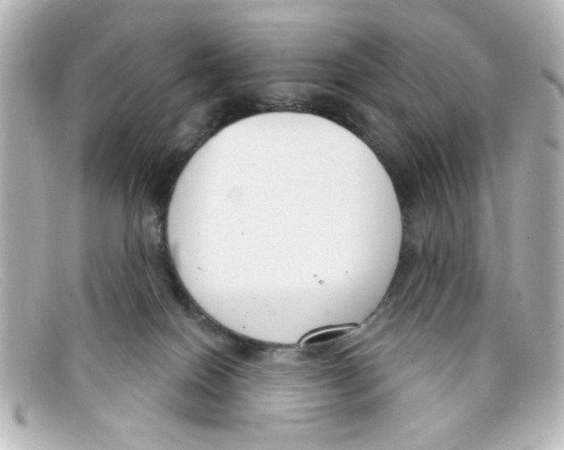 X0000098140086200805081029