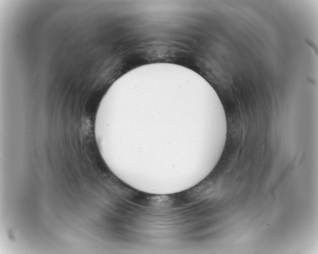 X0000098140087200805081029