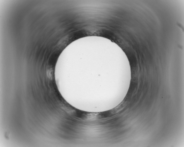 X0000098140090200805081029