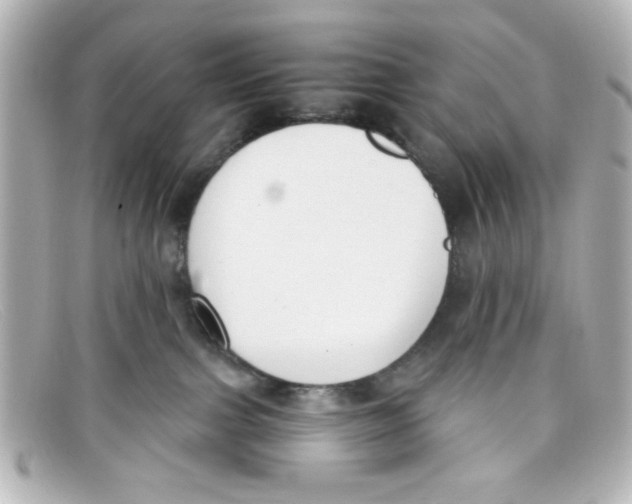 X0000098140091200805081029