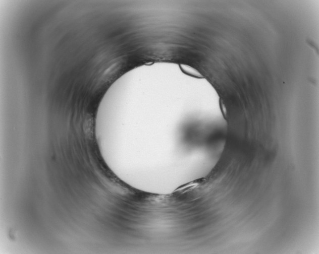 X0000098140092200805081029