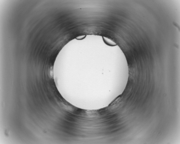 X0000098140095200805081029