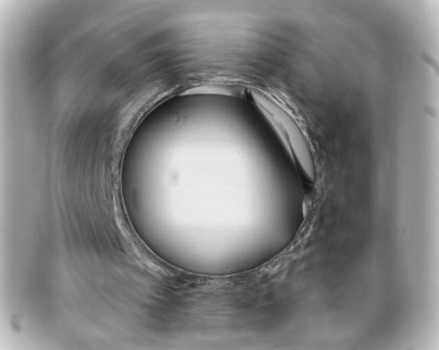 X0000098140097200805081029