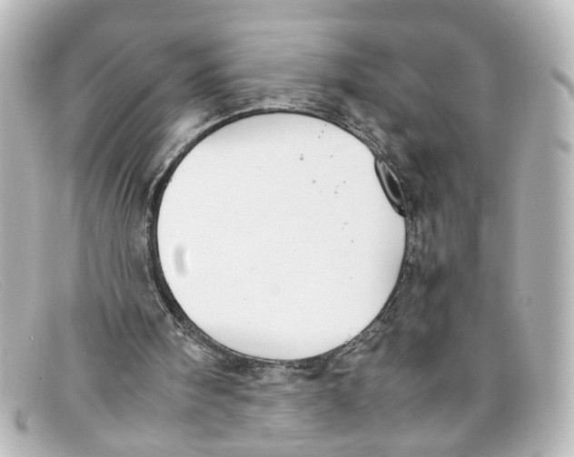 X0000098140098200805081029