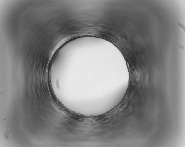 X0000098140100200805081029