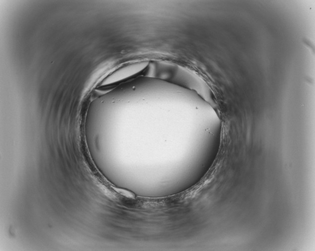 X0000098140101200805081029