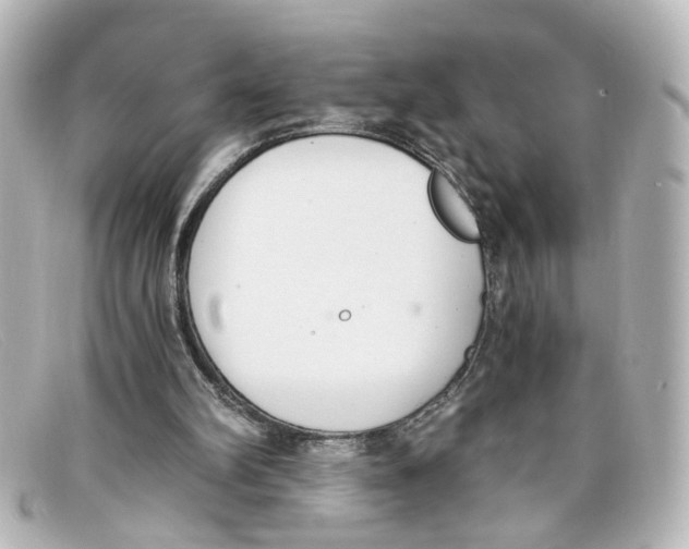 X0000098140102200805081029