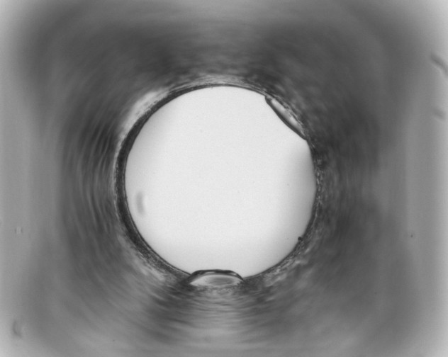 X0000098140104200805081029