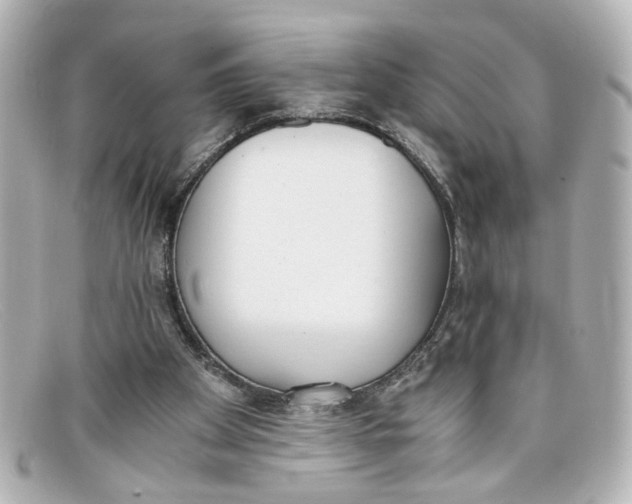 X0000098140105200805081029