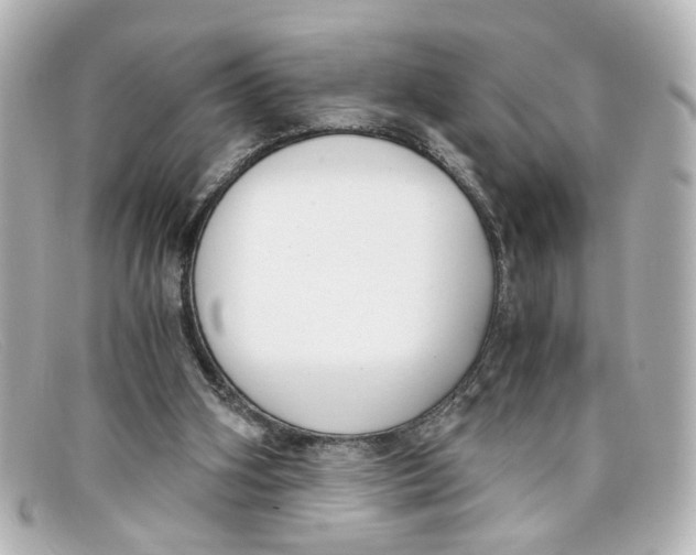 X0000098140106200805081029