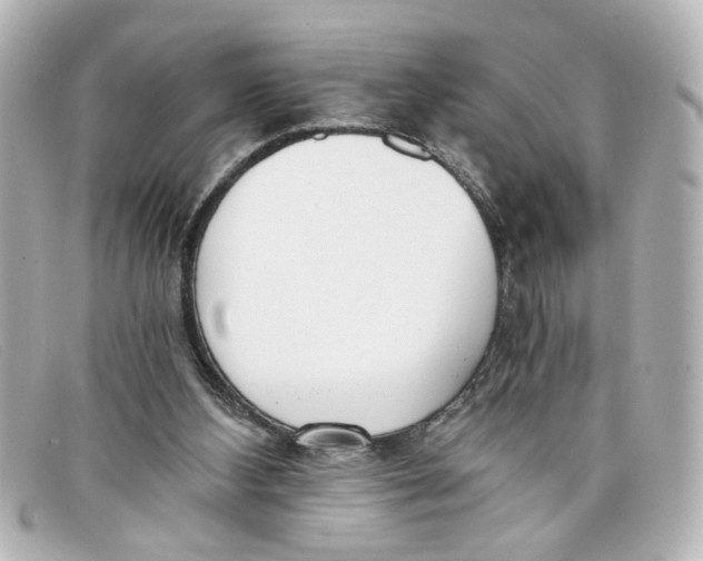 X0000098140108200805081029