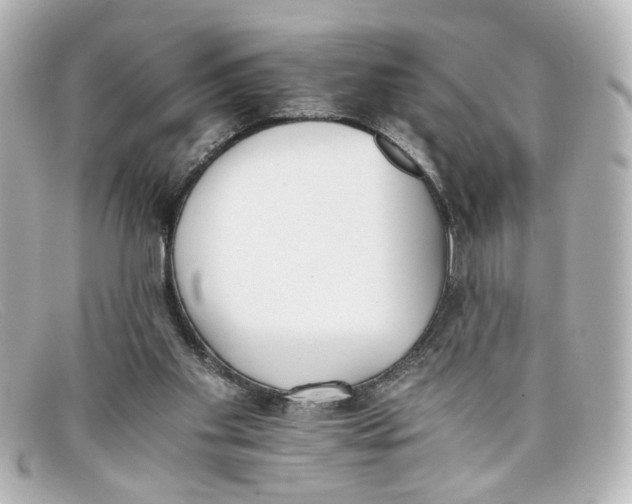 X0000098140109200805081029