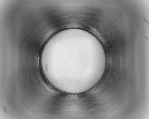 X0000098140110200805081029