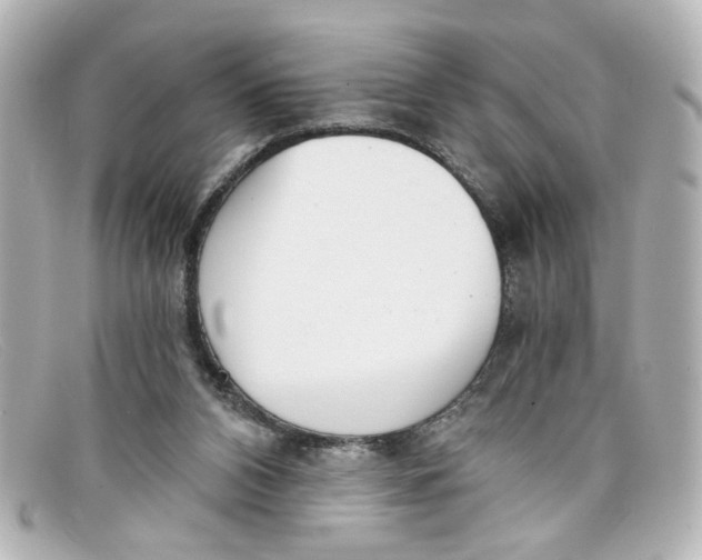 X0000098140112200805081029