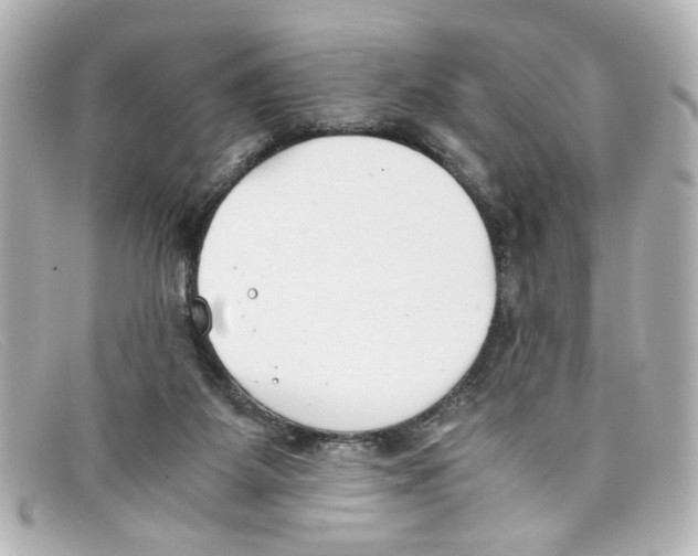 X0000098140115200805081028