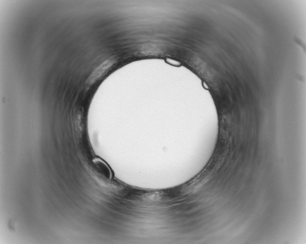 X0000098140116200805081028