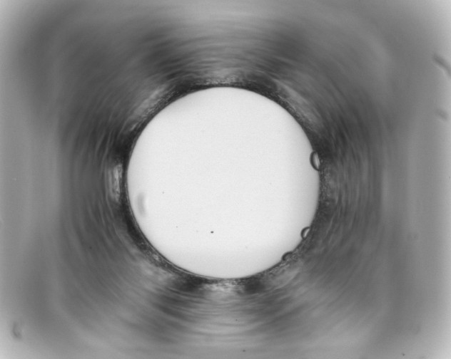 X0000098140118200805081028