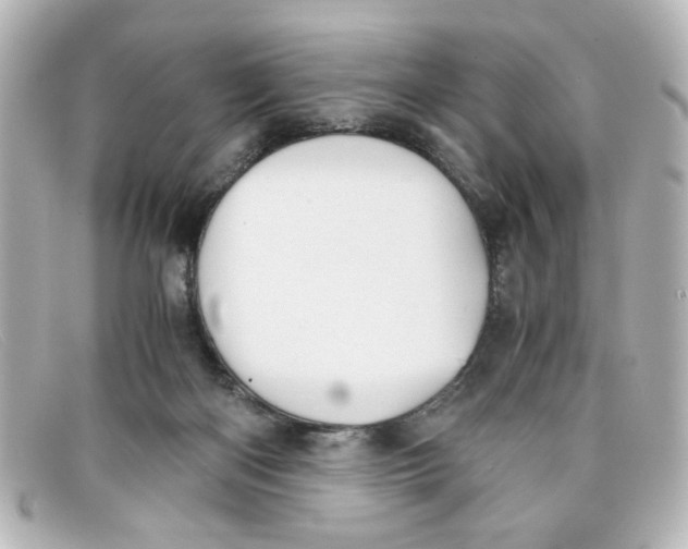 X0000098140122200805081028