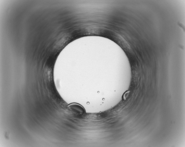 X0000098140123200805081028