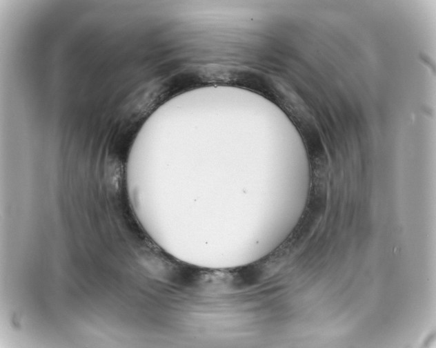 X0000098140125200805081028