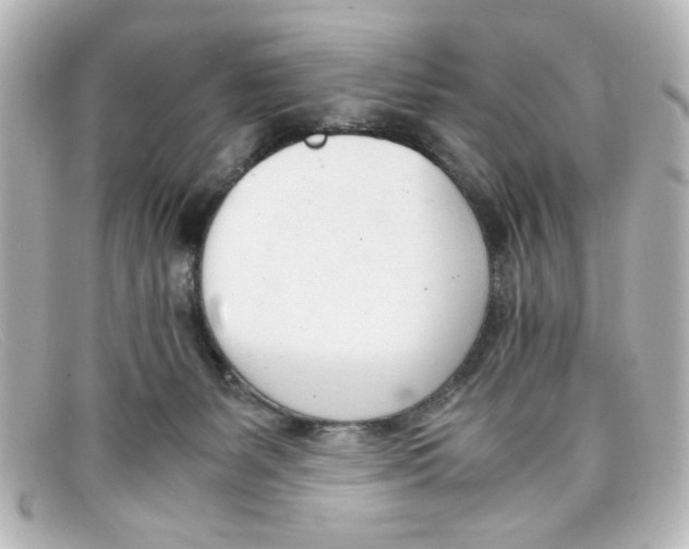 X0000098140127200805081028