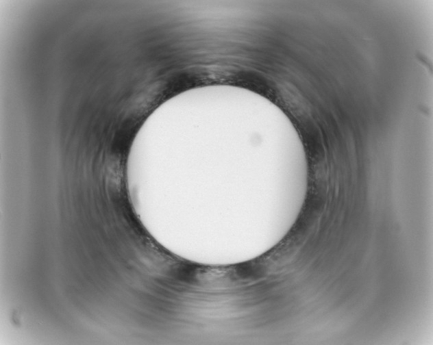 X0000098140129200805081028