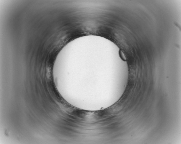 X0000098140130200805081028