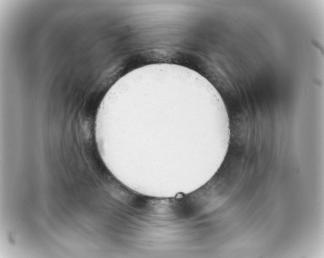 X0000098140131200805081028