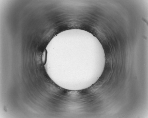 X0000098140133200805081028