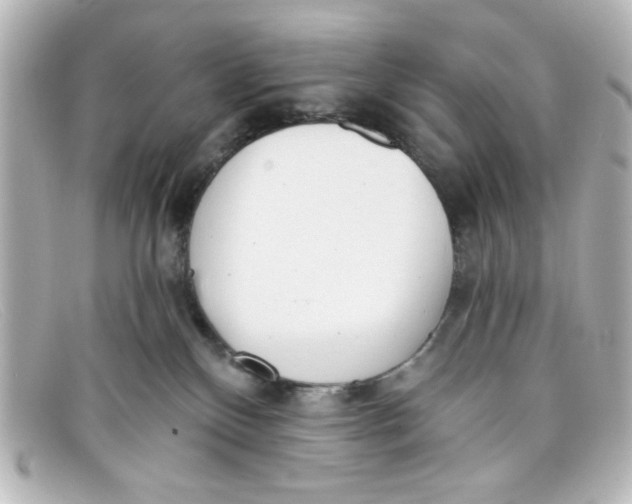 X0000098140136200805081028