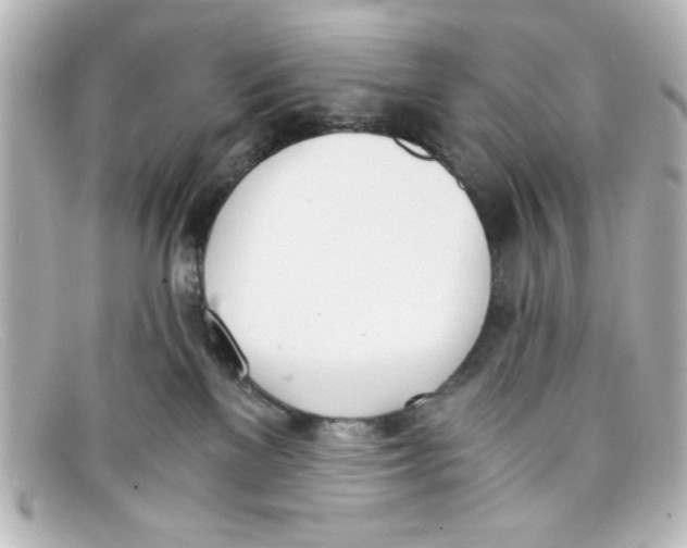 X0000098140137200805081028